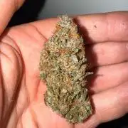Fastbuds unreleased champions mix auto