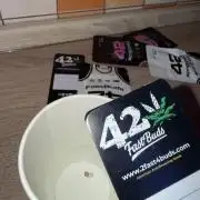 Gorilla Z auto #2
