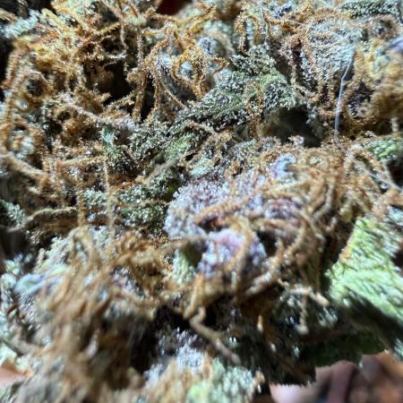 Only harvest