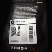 LSD-25 #1