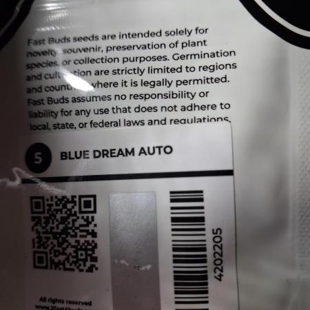 Blue dream #1