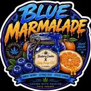 Blue Marmalade