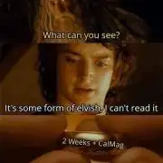 Smart