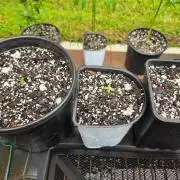 Fastbuds Outdoor