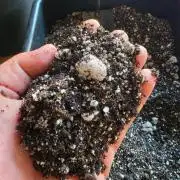 Fastbuds Outdoor