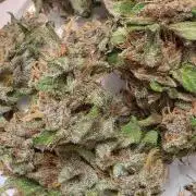 Gorilla Cookies
