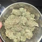 1st Grow