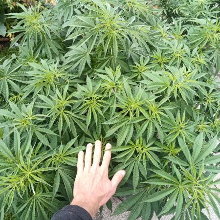 Outdoor Germany