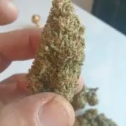 Lemon Cherry Gelato Auto and more