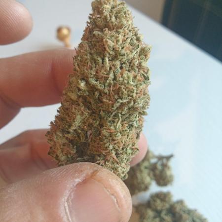 Lemon Cherry Gelato Auto and more