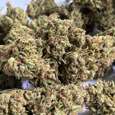 Jack Herer auto