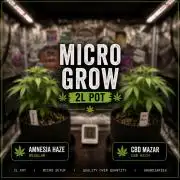 Micro Grow 1