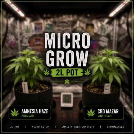 Micro Grow 1