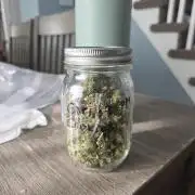 1st ever grow!