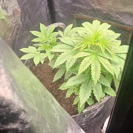 without ventilation