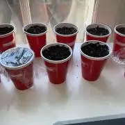 Auto Grow