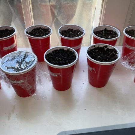 Auto Grow