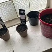 First try