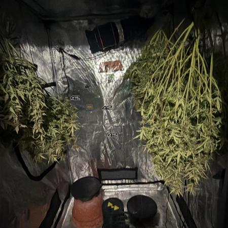 First autogrow