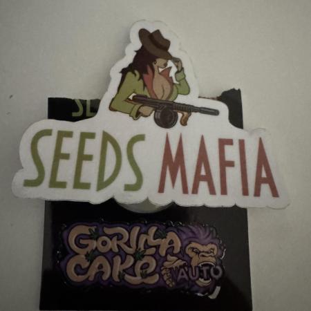 Gorill Cake Auto