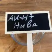 HubaSeedBank