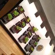 Juicy Flavours Grow #002