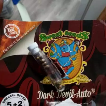 Auto Dark Devil with Doobie Brothers Gen