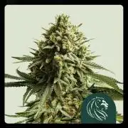 WeddingCake