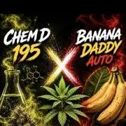 ⛽️🍌 Chem D 195 x Banana Daddy Auto