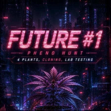🔮Future #1 Pheno Hunt w/ Lab Testing