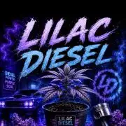 Lilac Diesel Auto w/ Lab Testing