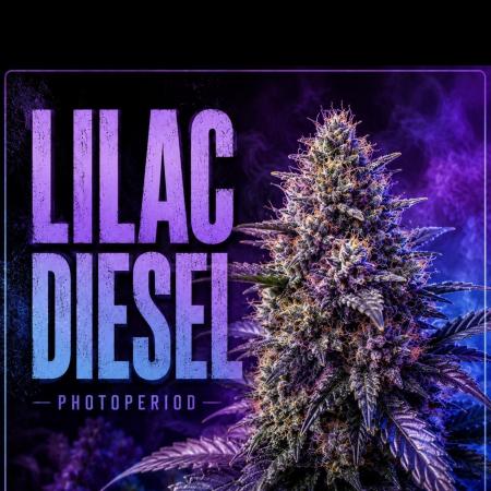 💜⛽️ Lilac Diesel Rbx2 Photo - AB Testing