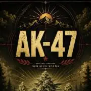 🔥 AK-47 - Original Breeder
