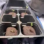 FastBuds & AutoPot + SANlight + BioTabs