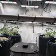 FastBuds & AutoPot + SANlight + BioTabs