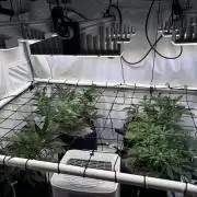 FastBuds & AutoPot + SANlight + BioTabs