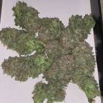 Strawberry pie Auto