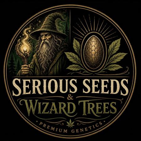 Serious Wizard