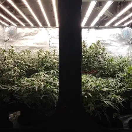 Frostbanger Auto