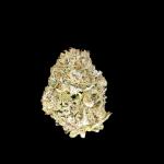 Tropicana Cookies FF
