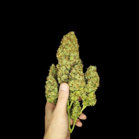 Fast Buds Tester FBA2506