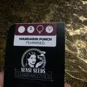Mandarin Punch