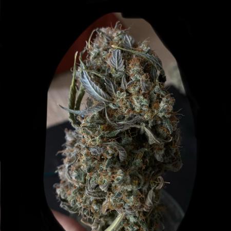 NorthernLightAuto