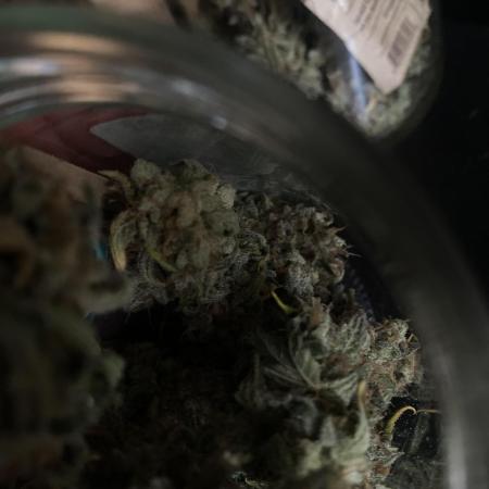 Speedy Chile (RQS)