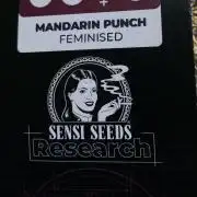 Mandarin Punch