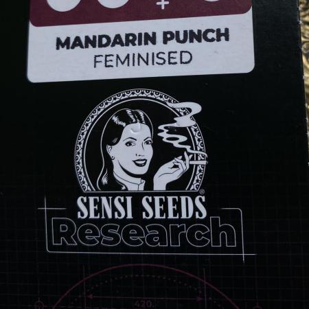 Mandarin Punch