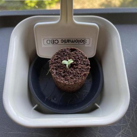 2026 Balcony Grow | SCBD & Fast Eddy