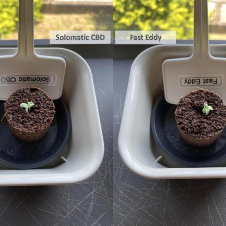 2026 Balcony Grow | SCBD & Fast Eddy