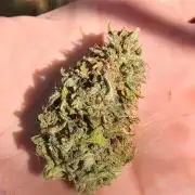 Blunts by The Runtz