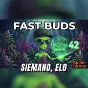 Automaty od FB42